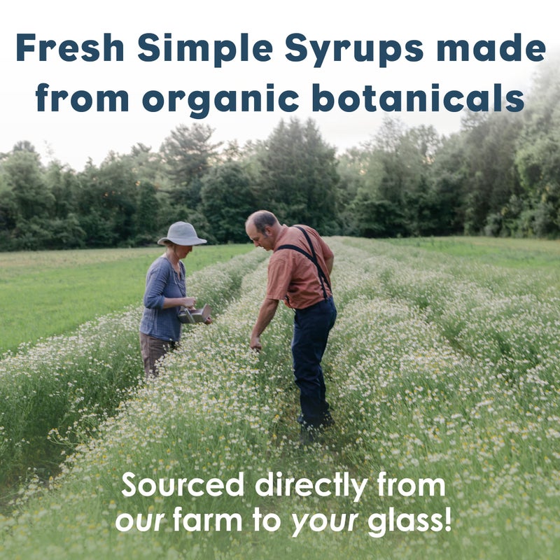 Bluestem Botanicals Organic Lavender Simple Syrup, 8 oz, Cocktail and Mocktail Mixer for Drinks, Non-Alcoholic - Image 4